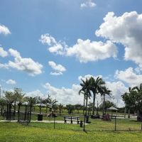 Big Dogs Park ico