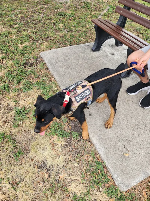 Big Dogs Park 4