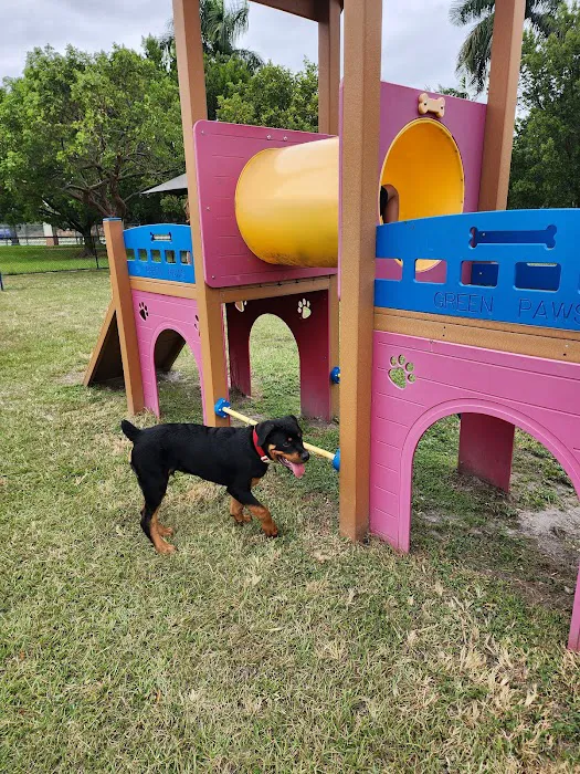 Big Dogs Park 2