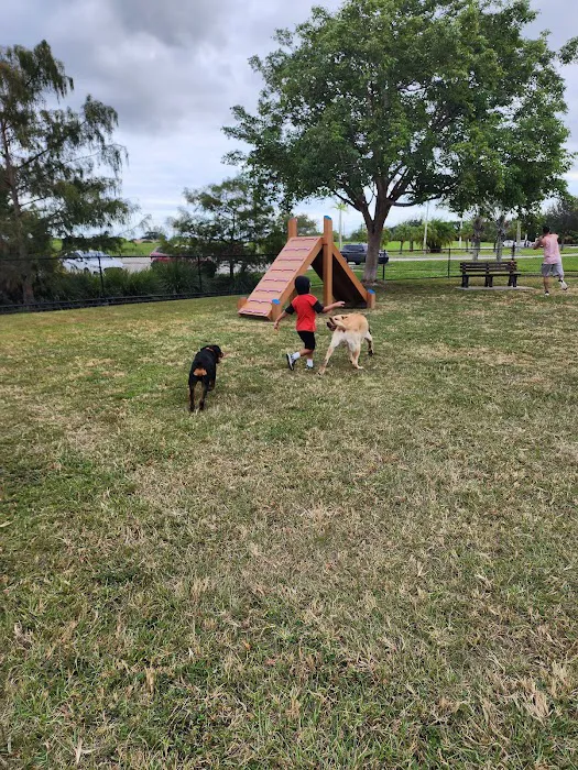 Big Dogs Park 3