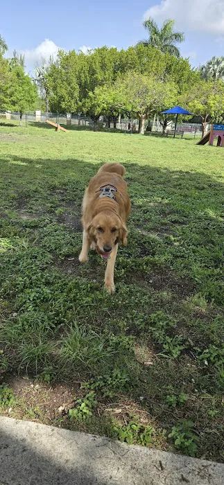 Big Dogs Park 8
