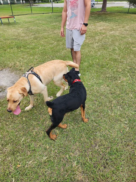 Big Dogs Park 7