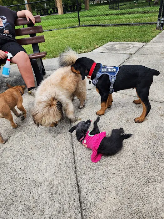 Small Dog Park 5
