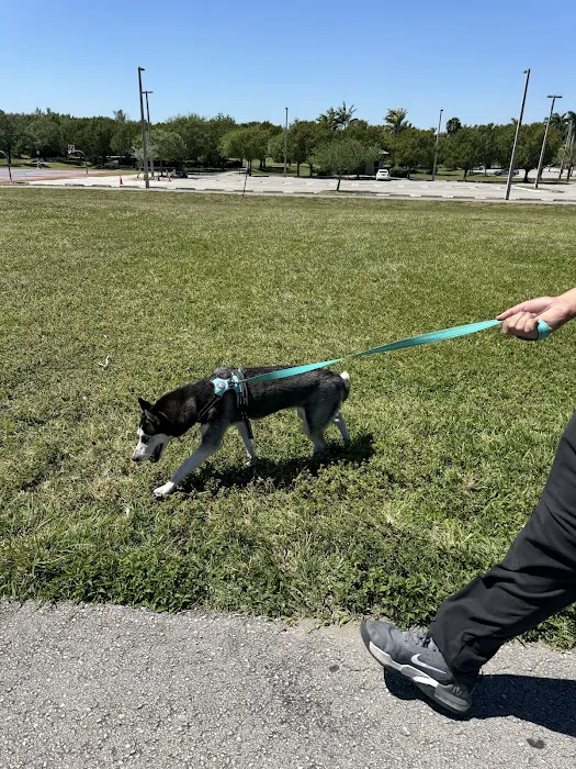 Small Dog Park 8