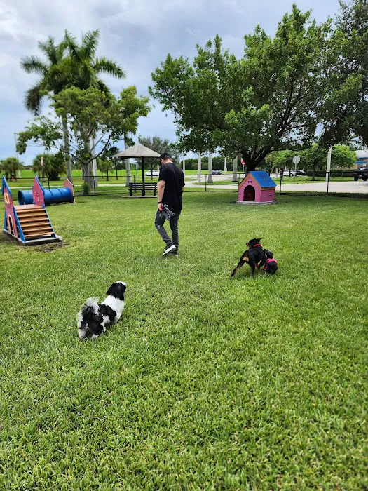 Small Dog Park 7