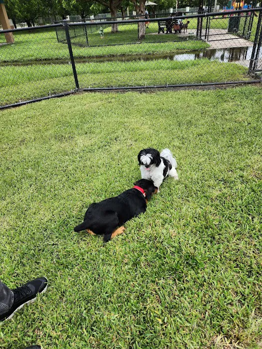 Small Dog Park 10