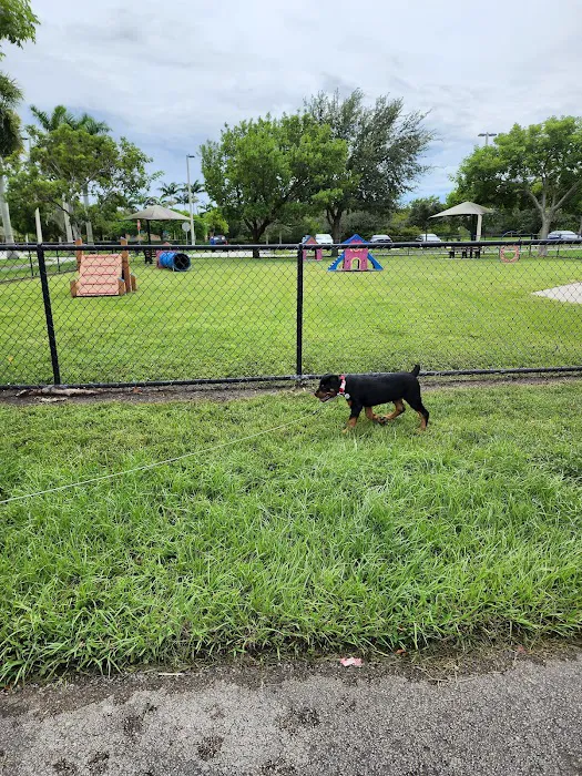 Small Dog Park 9