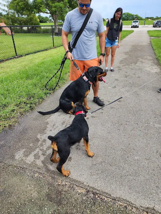 Small Dog Park 6