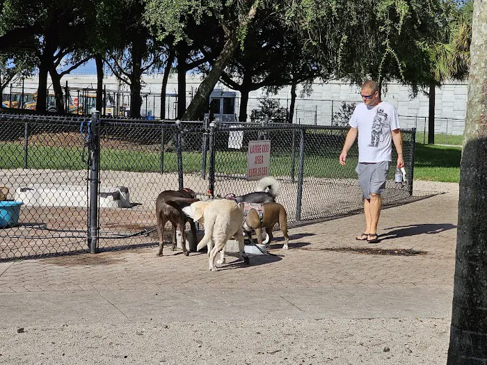 Oakland Bark 3