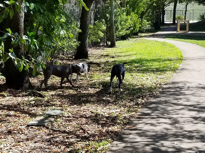 Oakland Bark 4
