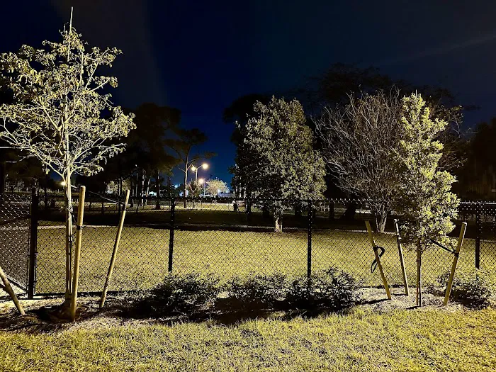 Wag Park 3