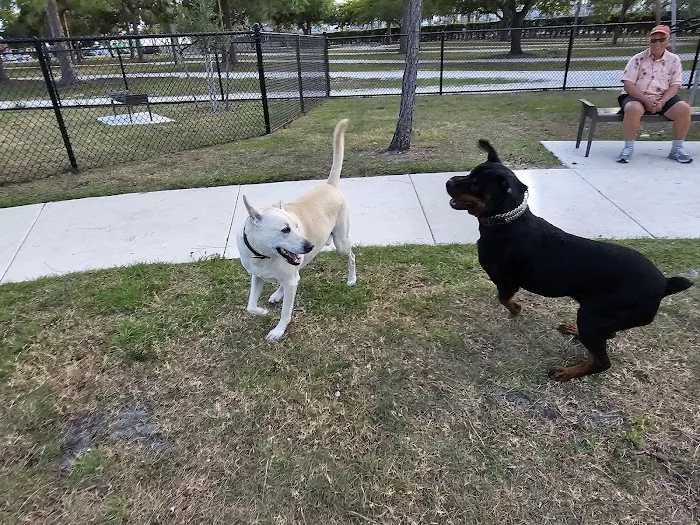 Wag Park 10