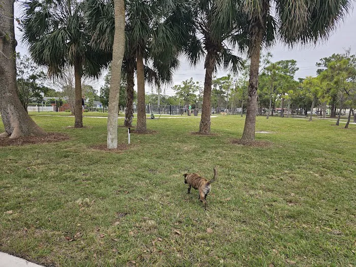 Wag Park 7