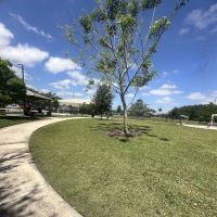 Pawgrass at Welleby Park ico