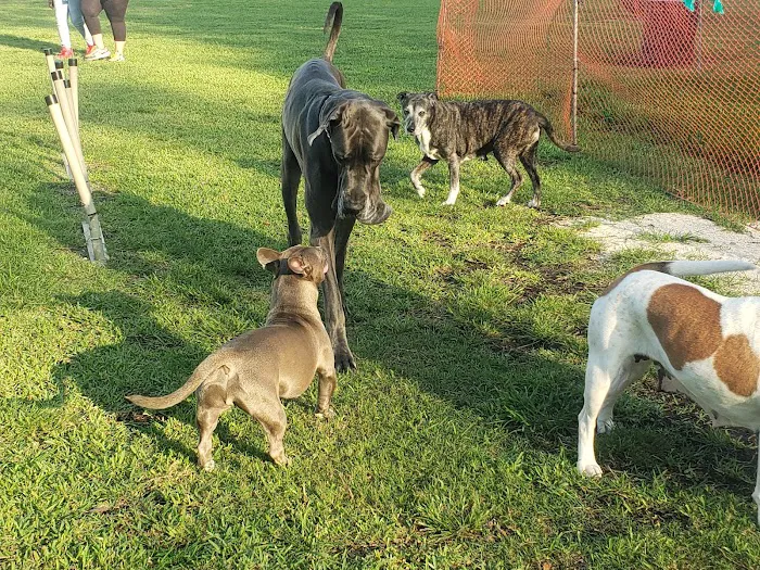 Woodville Dog Park 7