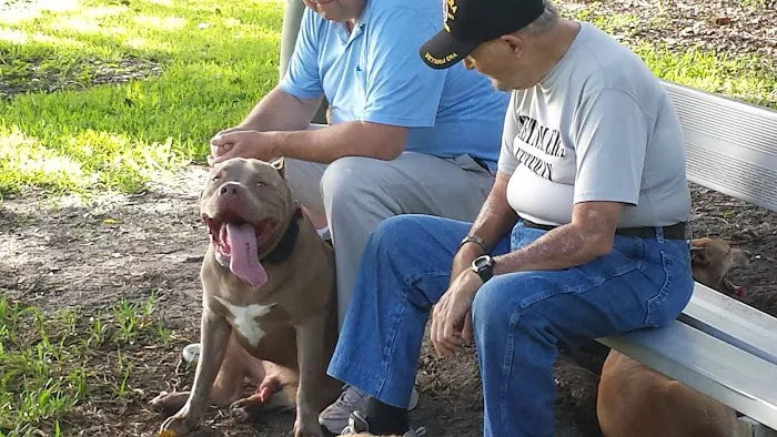 Woodville Dog Park 10