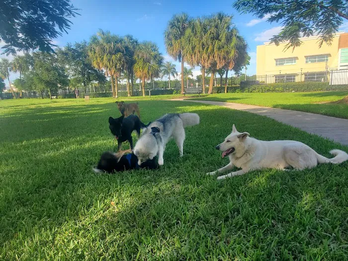 Pompano Beach Dog Park 9