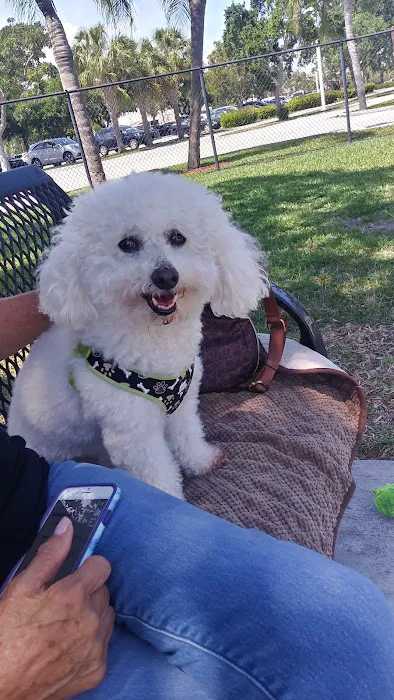 Pompano Beach Dog Park 3