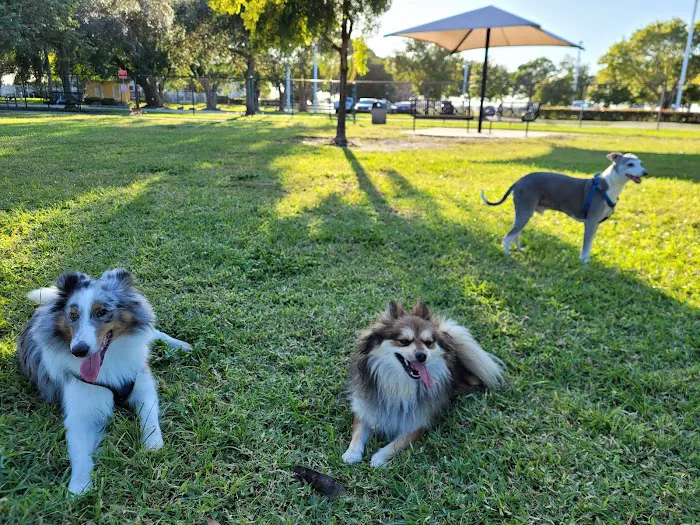 Pompano Beach Dog Park 2