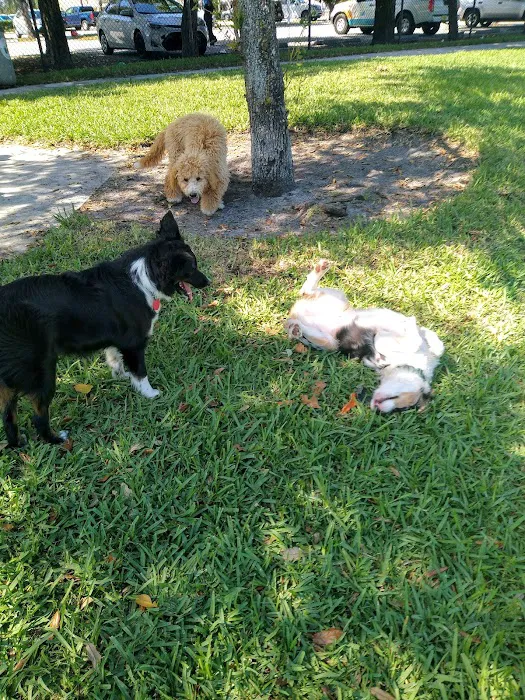 Pompano Beach Dog Park 5