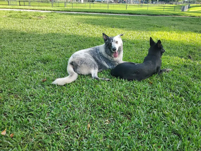 Pompano Beach Dog Park 7