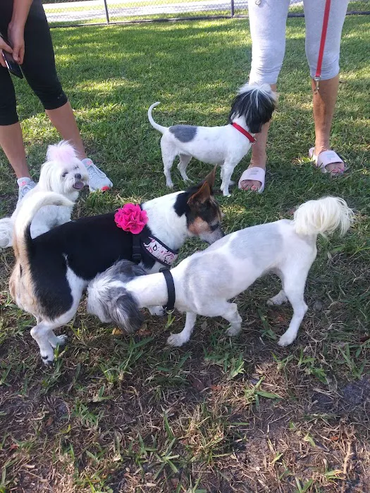 Pompano Beach Dog Park 1