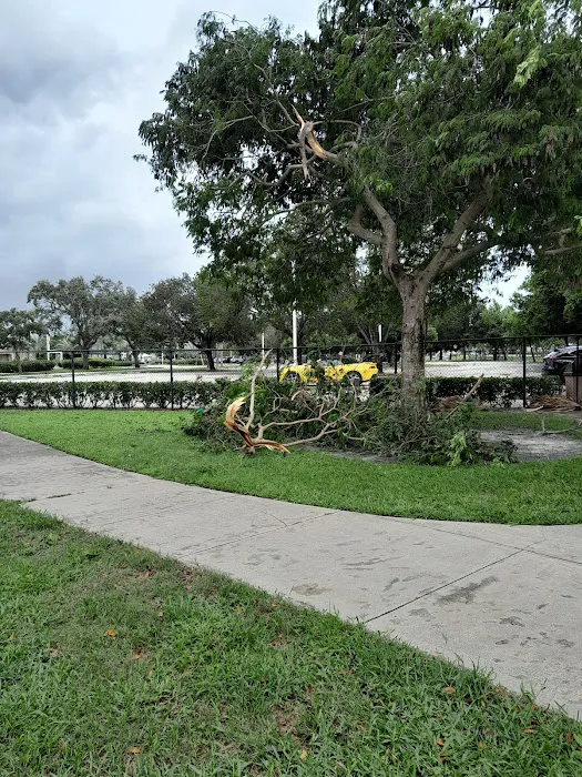Pompano Beach Dog Park 10