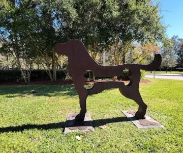 Windmill Dog Park