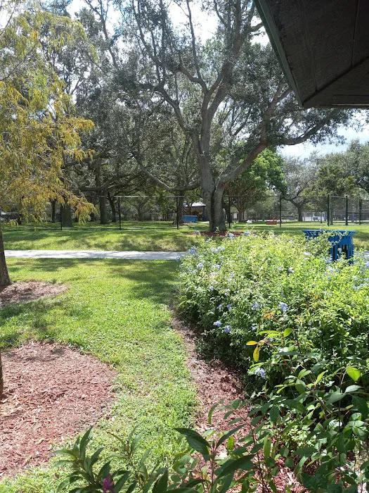 Windmill Dog Park 4