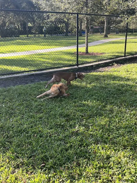 Windmill Dog Park 6