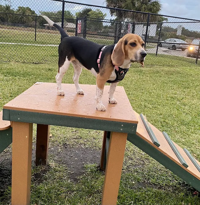 Gary B Jones Park for People and Pups 10