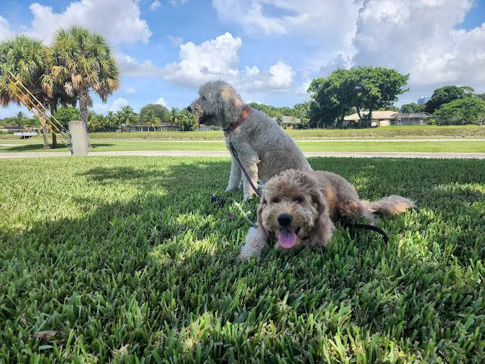 Gary B Jones Park for People and Pups 5