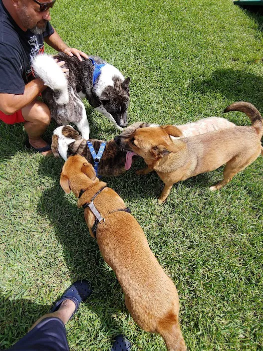 Gary B Jones Park for People and Pups 2