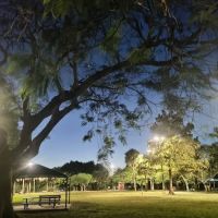 Dog park by kids school ico