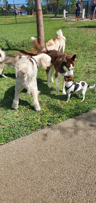 Dog Park- Firefighters Park 3