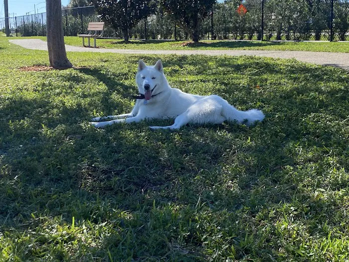 Dog Park- Firefighters Park 7