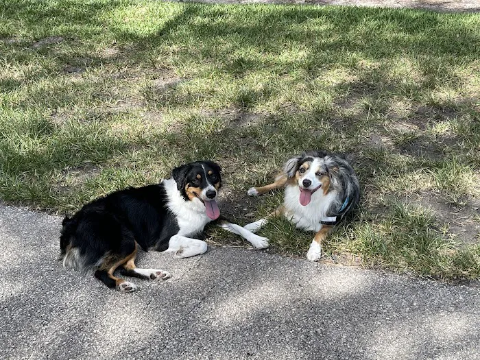 Barkland Dog Park 1