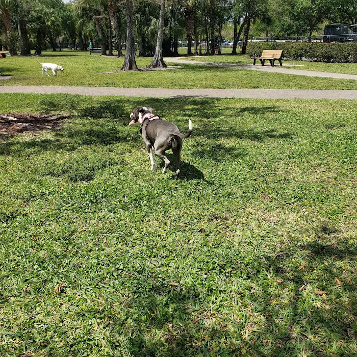 Barkland Dog Park 2