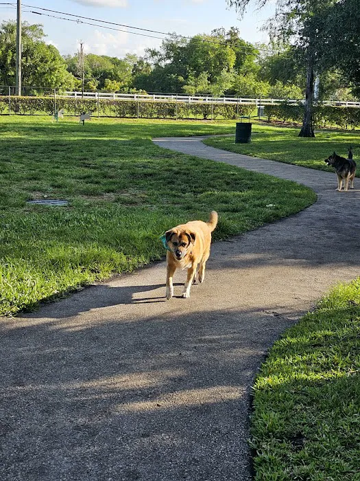 Barkland Dog Park 9
