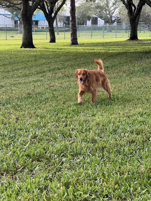 Mizner Bark Dog Park 5
