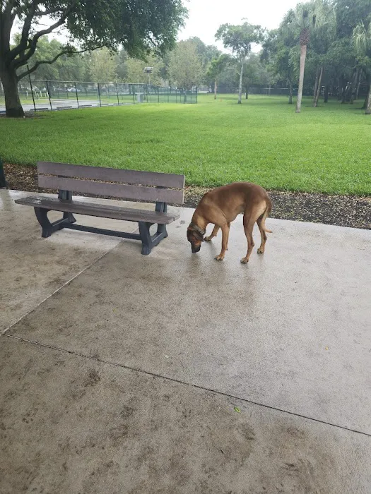 Mizner Bark Dog Park 2
