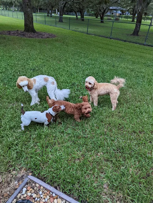 Mizner Bark Dog Park 8