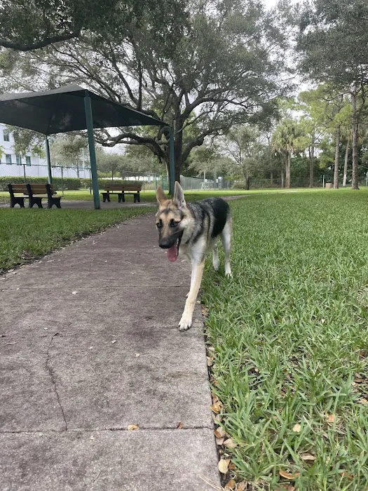 Mizner Bark Dog Park 10