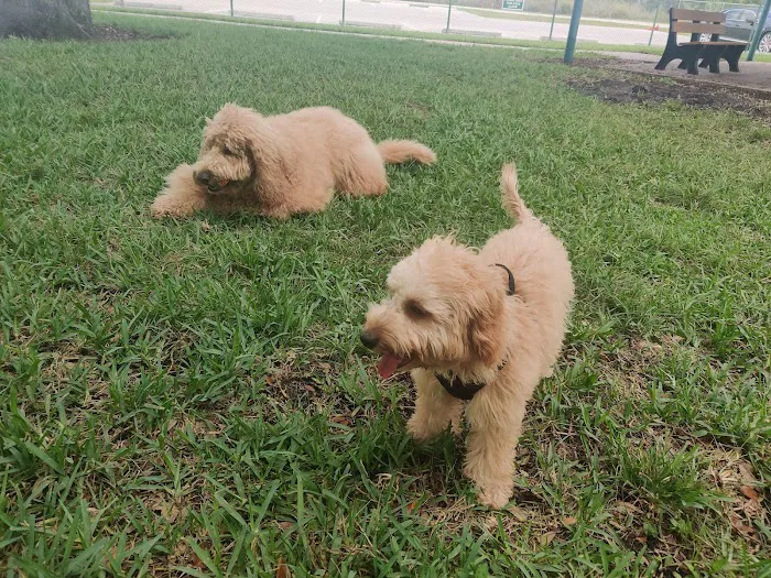 Mizner Bark Dog Park 6