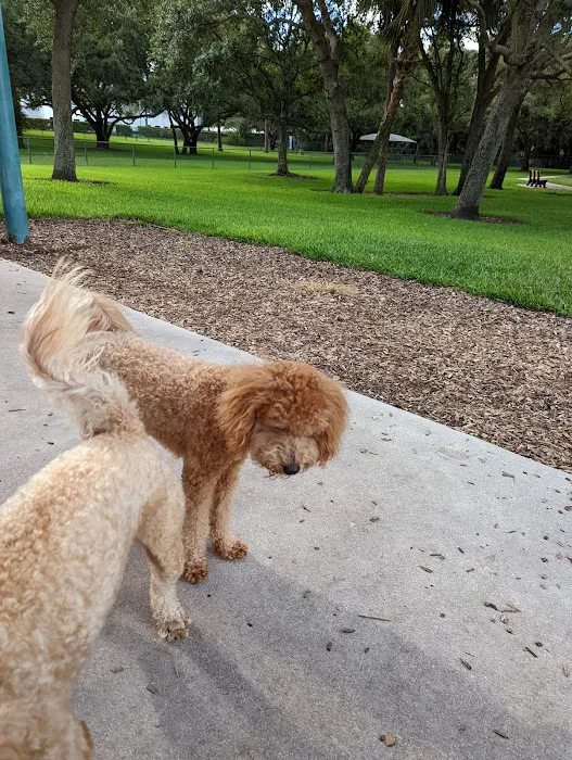 Mizner Bark Dog Park 7