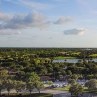 Canine Cove at South County Regional Park ico