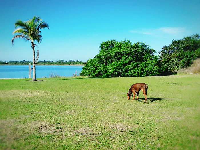 Canine Cove at South County Regional Park 9