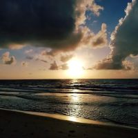 Weekend Dog Beach ico