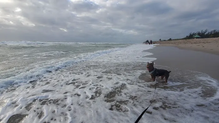 Weekend Dog Beach 5