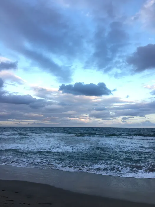 Weekend Dog Beach 3